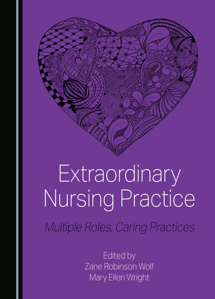 洋書 Innovations in Nursing Education 62ce39e8-cf52-4564-8132-