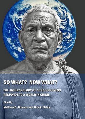 9781443809771-1